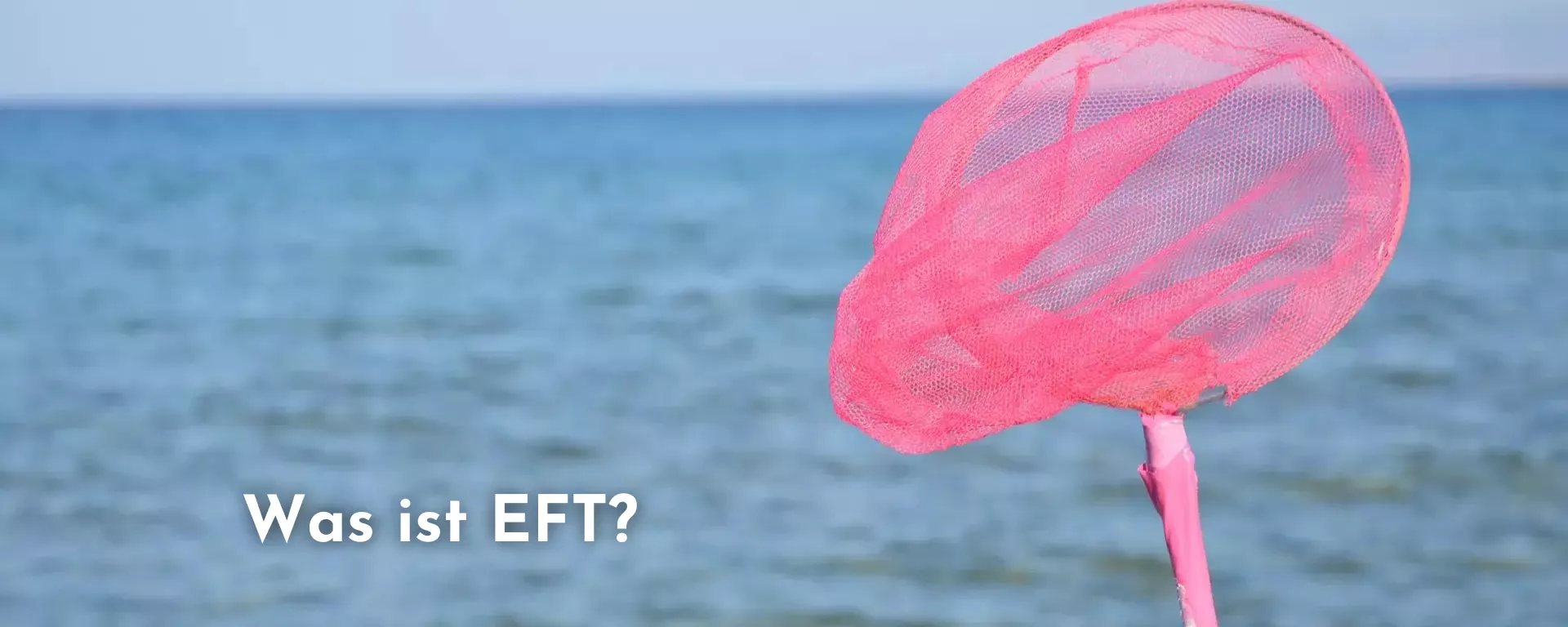 Was ist EFT