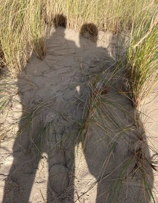 Paar Strand