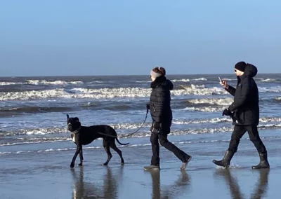 Paar-am-Meer